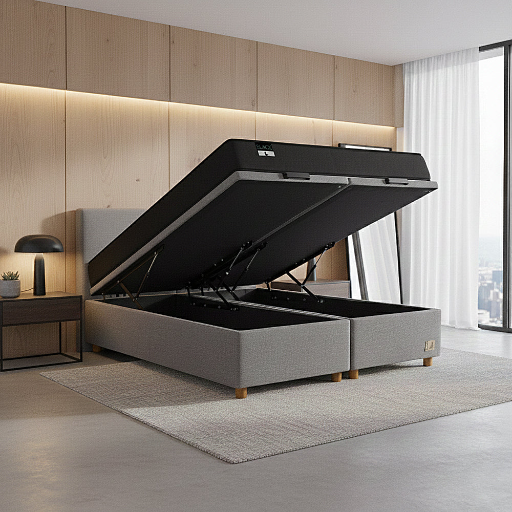 Base Europea Baúl Mons King Gris