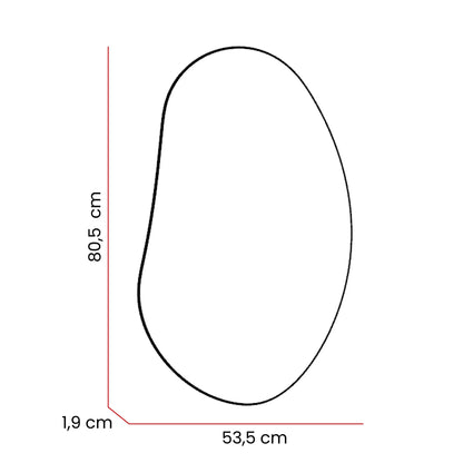 Espejo Leo Con Forma Irregular