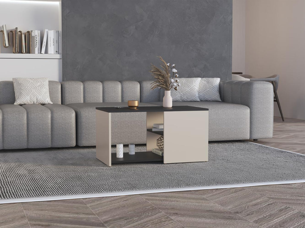 Mesa de Centro Ade, Capri y Wengue, con espacio para objetos decorativos - vista 1