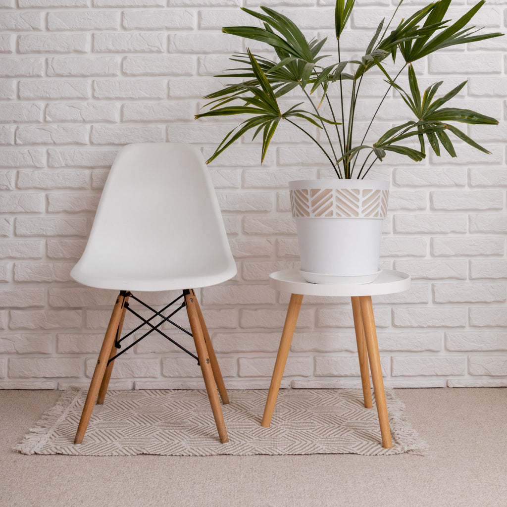 Pack de 4 Sillas Eames - Blanca